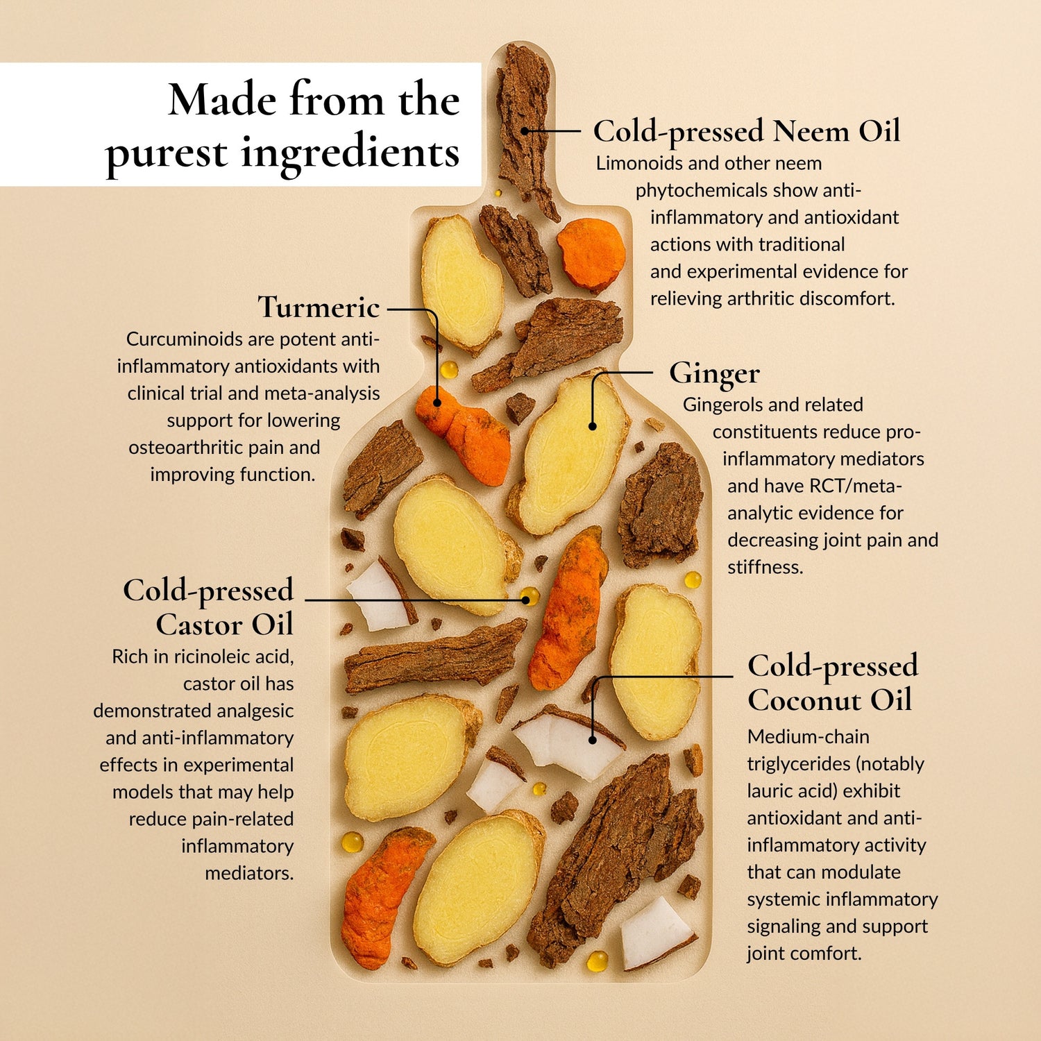 Everyday Ease & Wellness Belly Button Oil