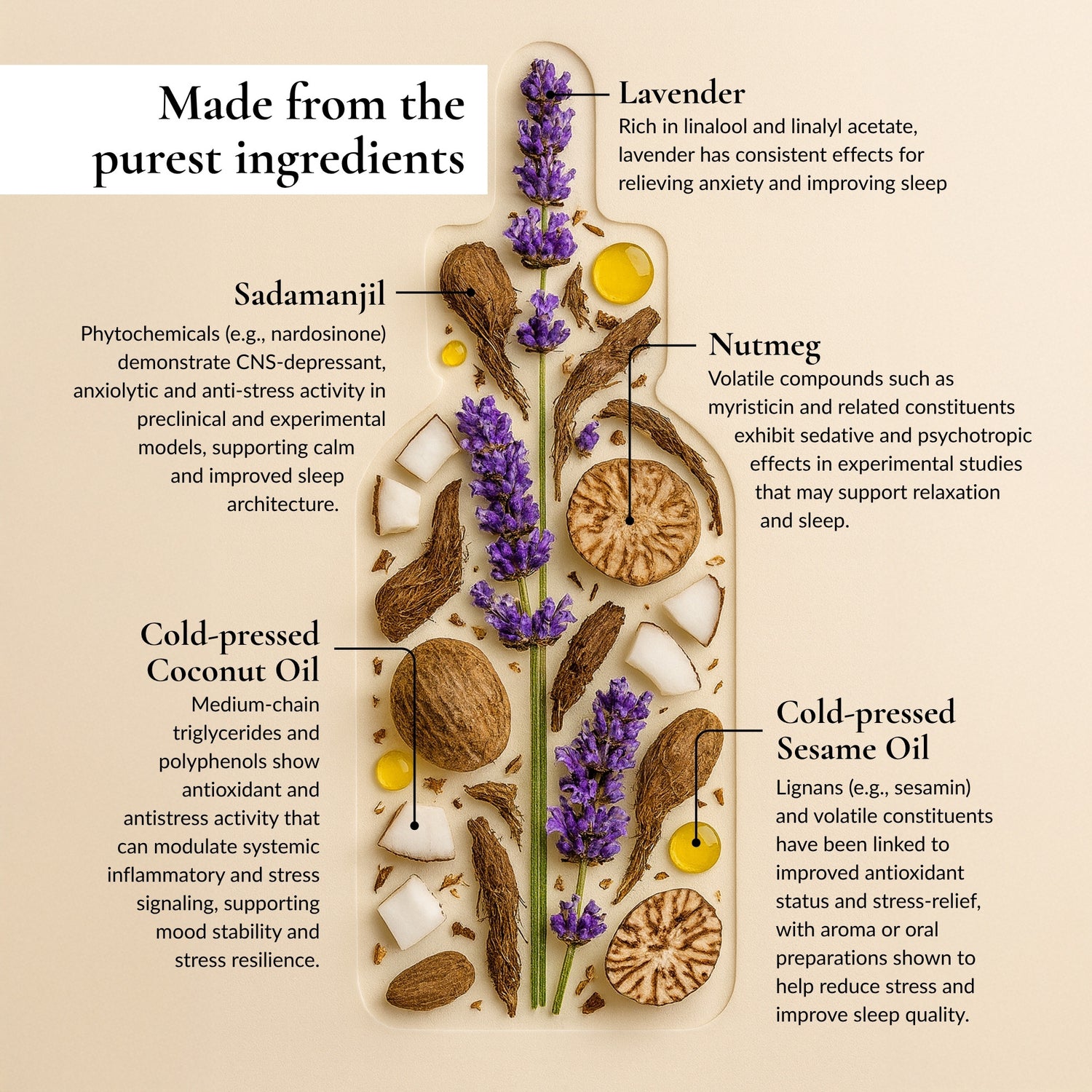 Body & Mind Wellness Belly Button Oil